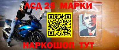 гашик Новодвинск