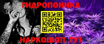 трава Новозыбков