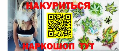 гашик Новодвинск