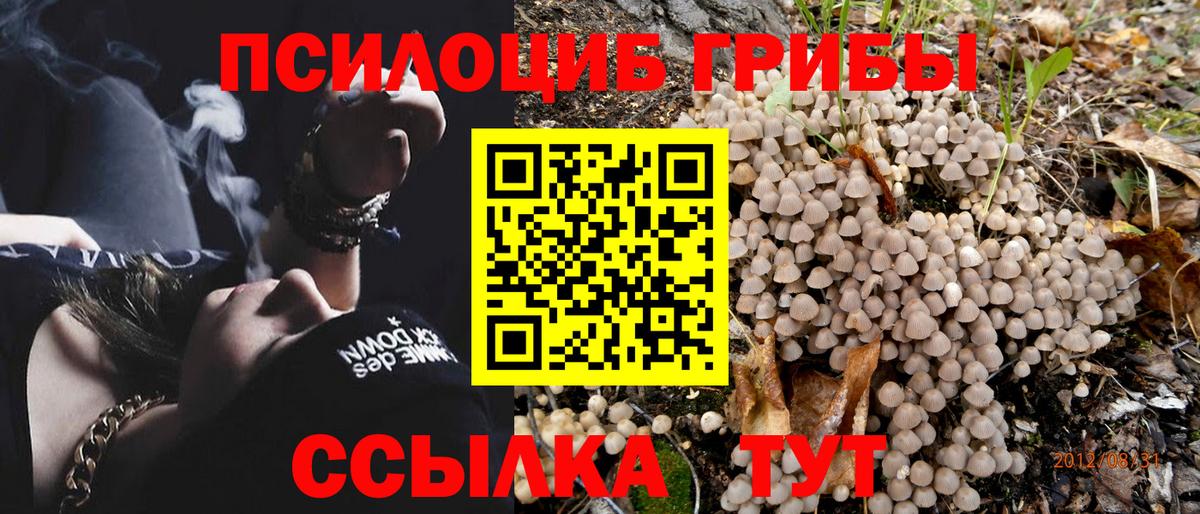 Семилуки  Псилоцибиновые грибы MAGIC MUSHROOMS  Вход с VPN 